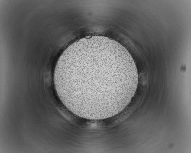 X0000101440564200808041217
