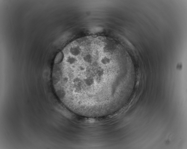 X0000101440565200808041217