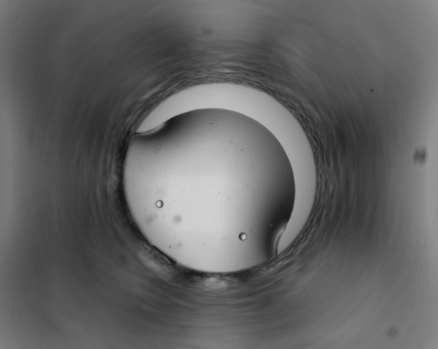 X0000101440566200808041217