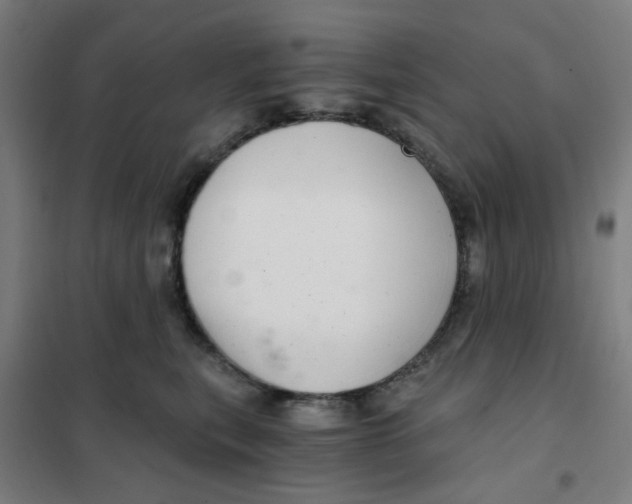 X0000101440567200808041217