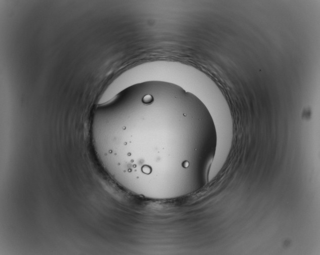 X0000101440568200808041217