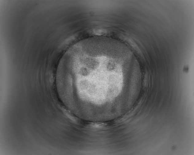 X0000101440569200808041217