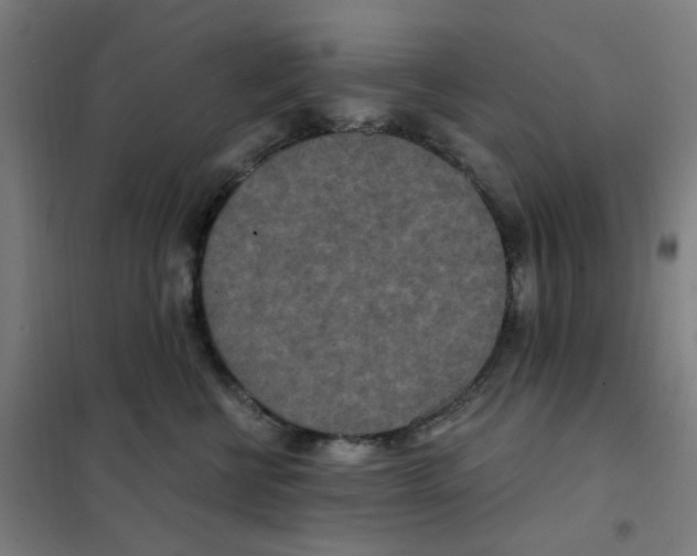 X0000101440570200808041217