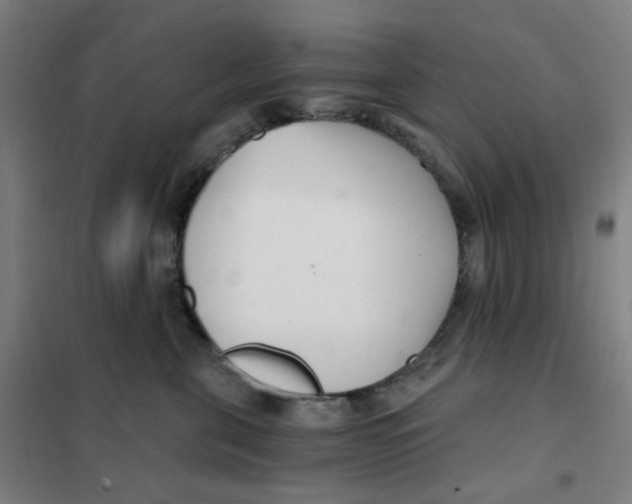 X0000101440571200808041218