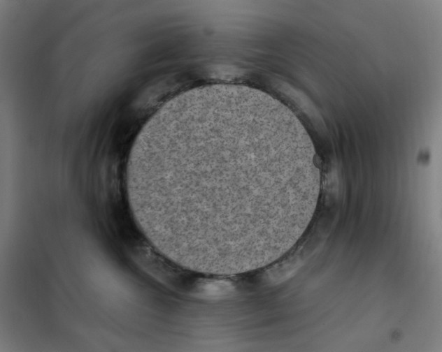 X0000101440572200808041218