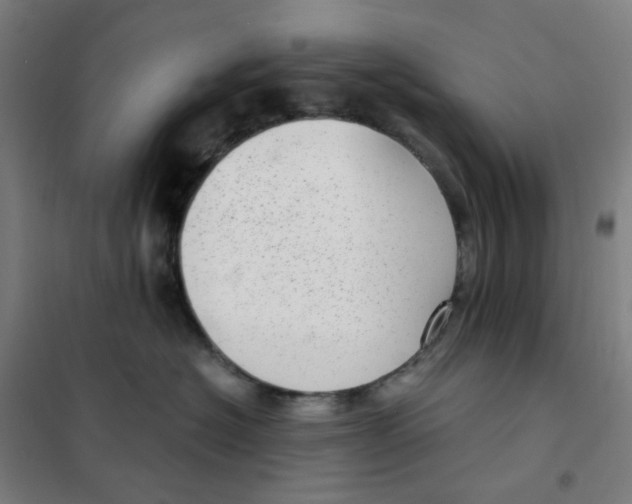 X0000101440574200808041218
