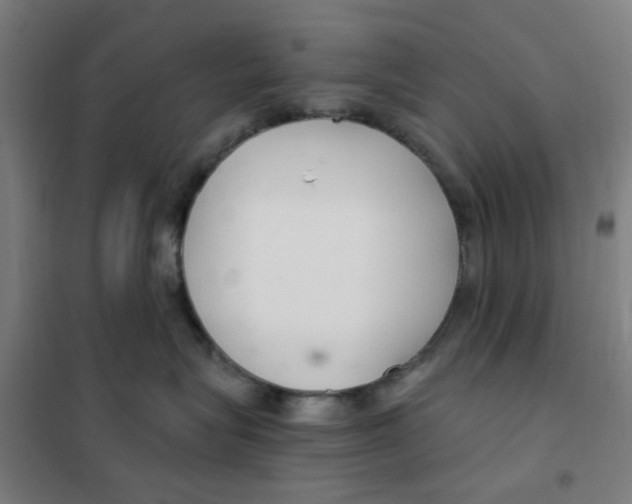 X0000101440575200808041218