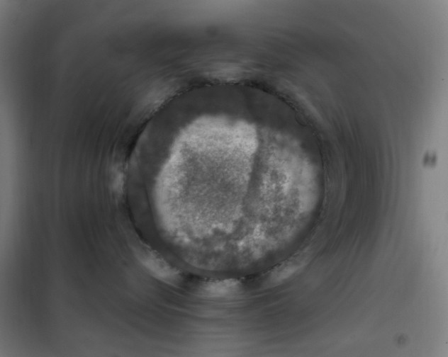 X0000101440576200808041218