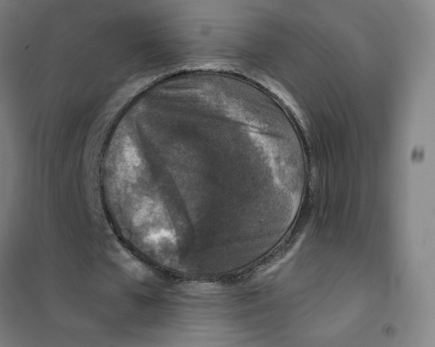 X0000101440577200808041217