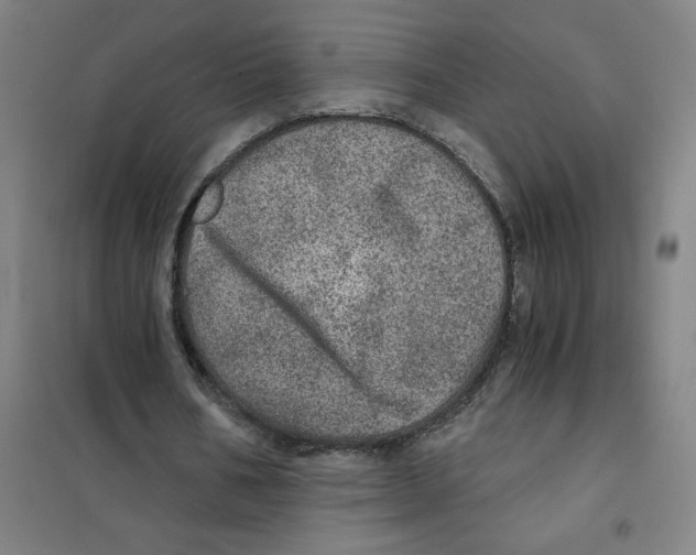 X0000101440578200808041217
