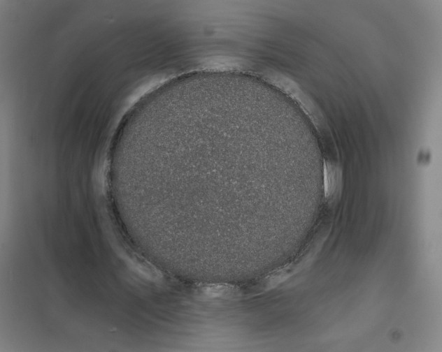 X0000101440579200808041217