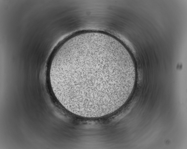 X0000101440580200808041217