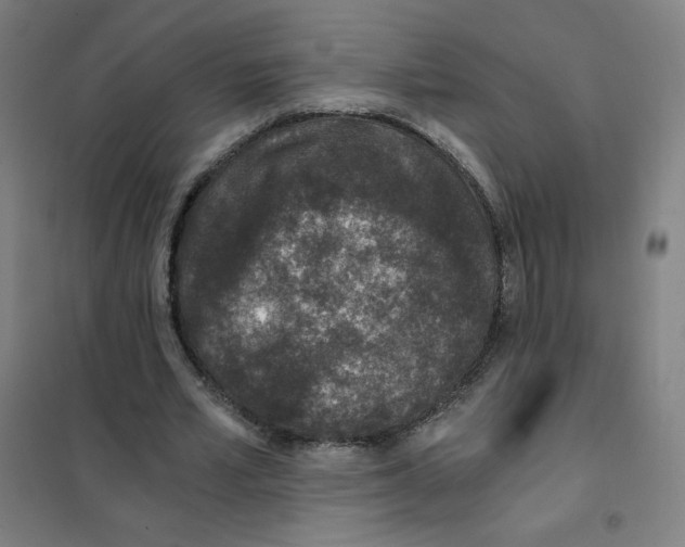 X0000101440581200808041217