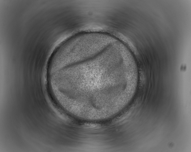 X0000101440582200808041217