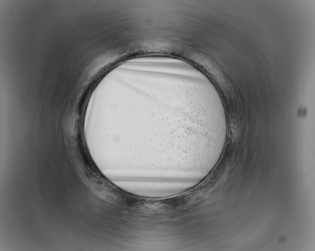X0000101440583200808041217