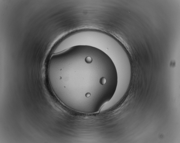 X0000101440584200808041217