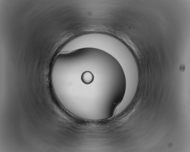 X0000101440585200808041217