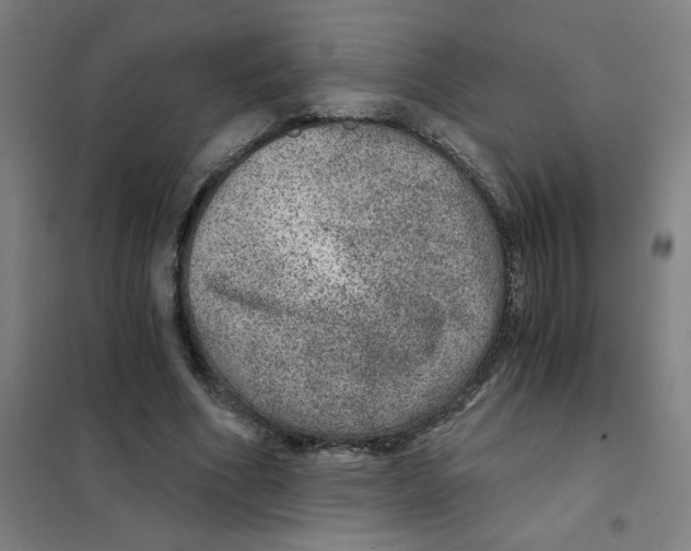 X0000101440586200808041217