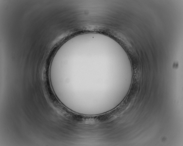 X0000101440587200808041217