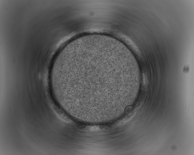 X0000101440588200808041217