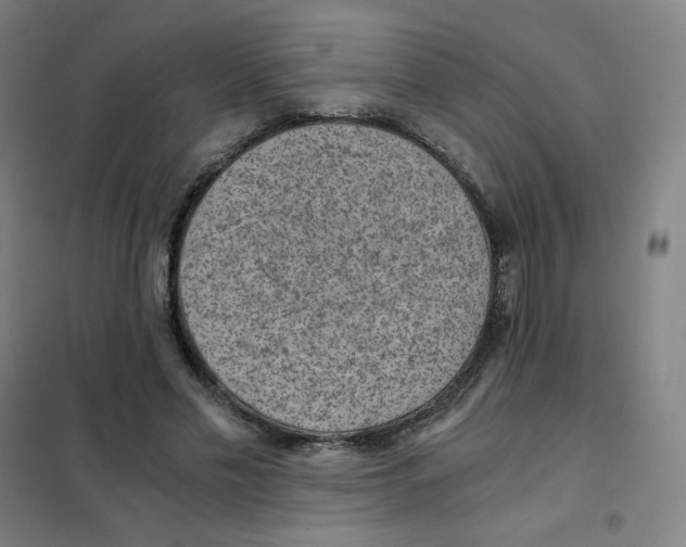 X0000101440589200808041217