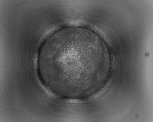 X0000101440590200808041217