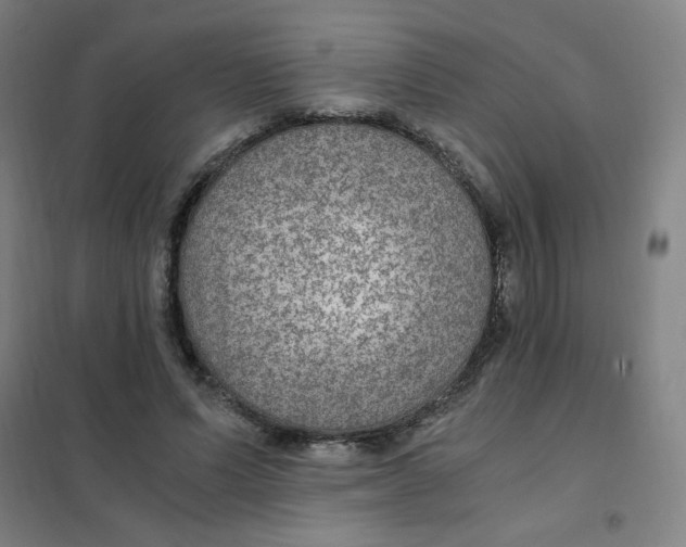 X0000101440591200808041217