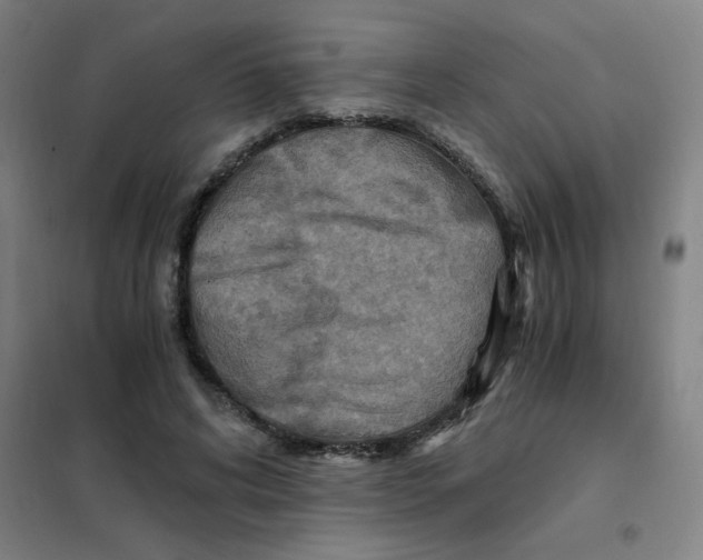 X0000101440592200808041217