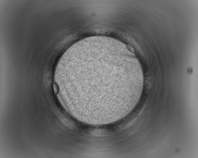 X0000101440593200808041217