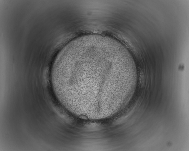 X0000101440594200808041217