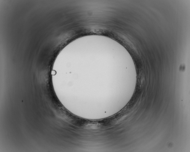 X0000101440595200808041217