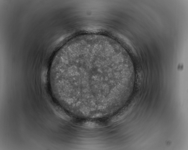 X0000101440596200808041217