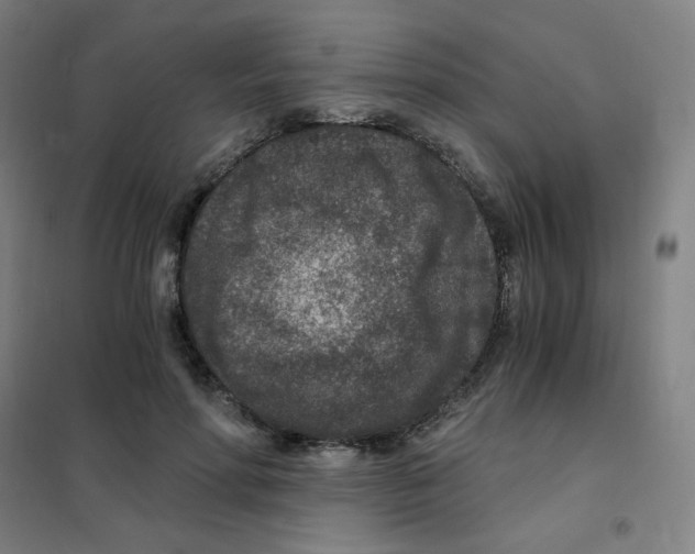 X0000101440598200808041217