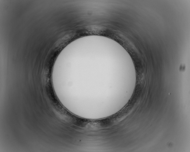 X0000101440599200808041217