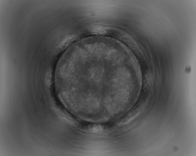 X0000101440600200808041216