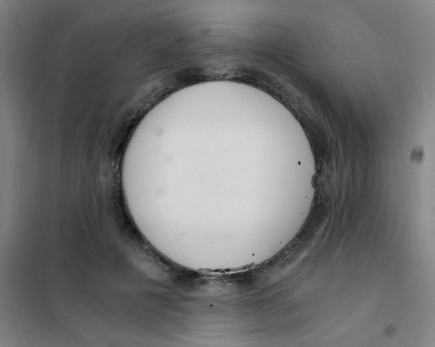X0000101440601200808041216