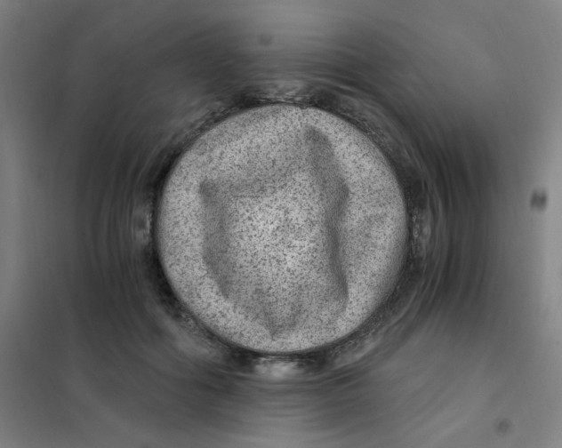 X0000101440602200808041216