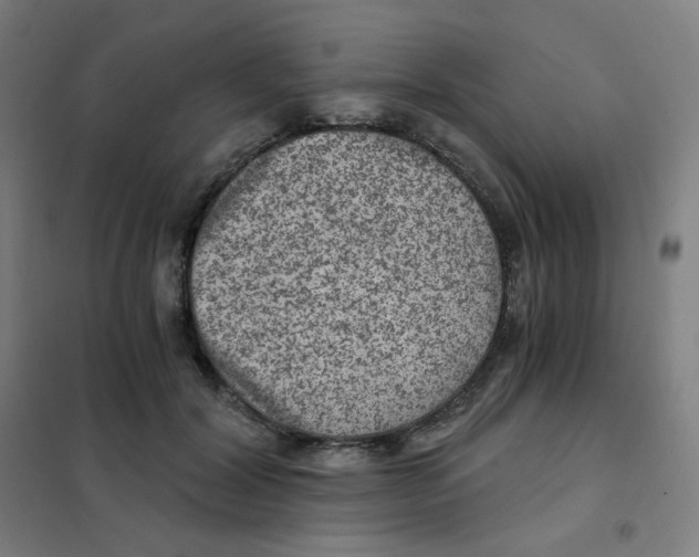 X0000101440604200808041216