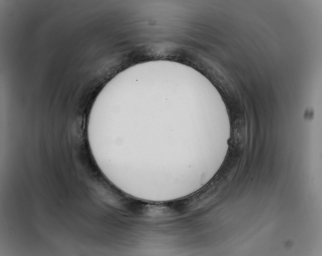 X0000101440605200808041216