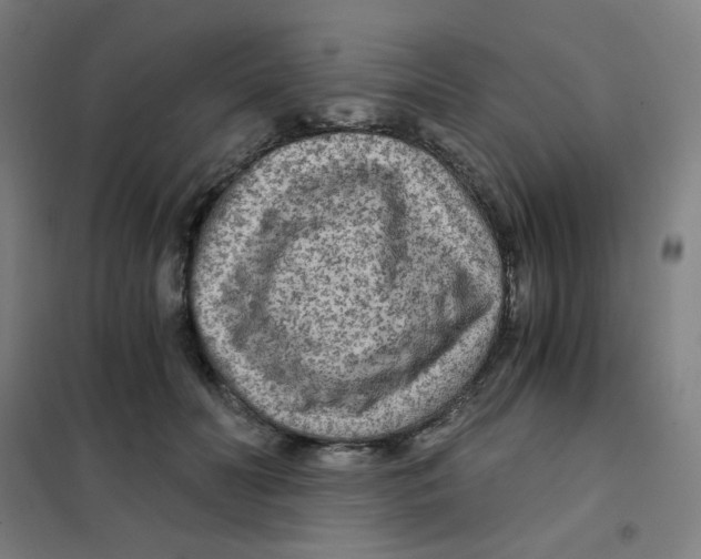 X0000101440606200808041216