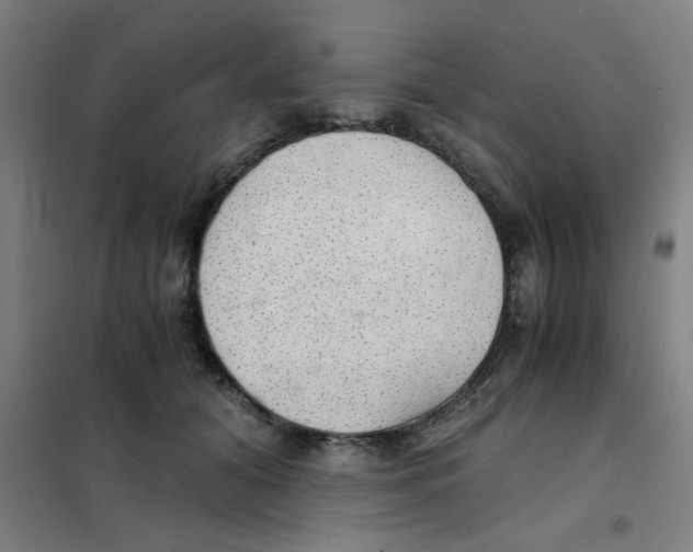 X0000101440608200808041216