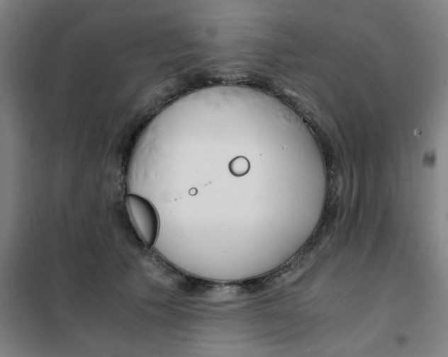 X0000101440609200808041216
