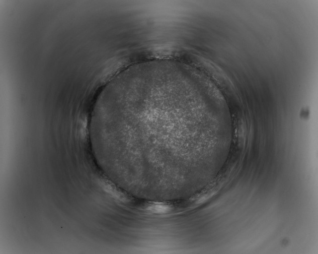 X0000101440610200808041216