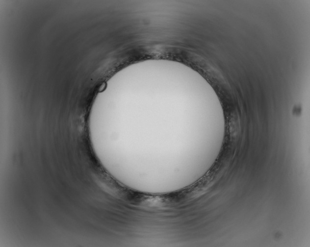 X0000101440611200808041216