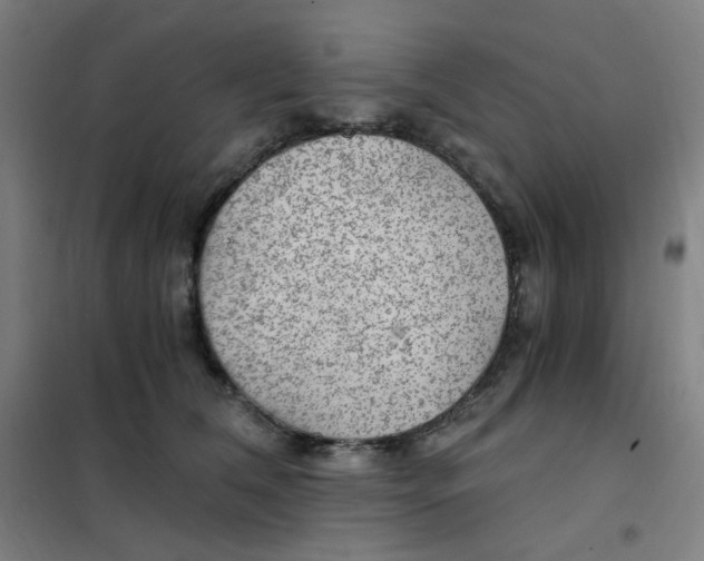 X0000101440612200808041216