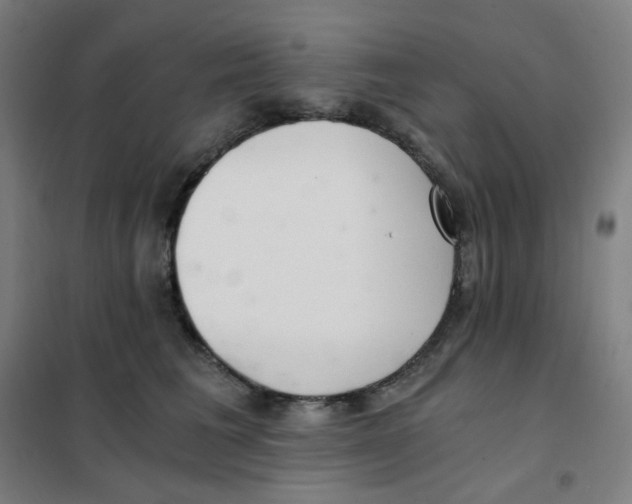 X0000101440613200808041216