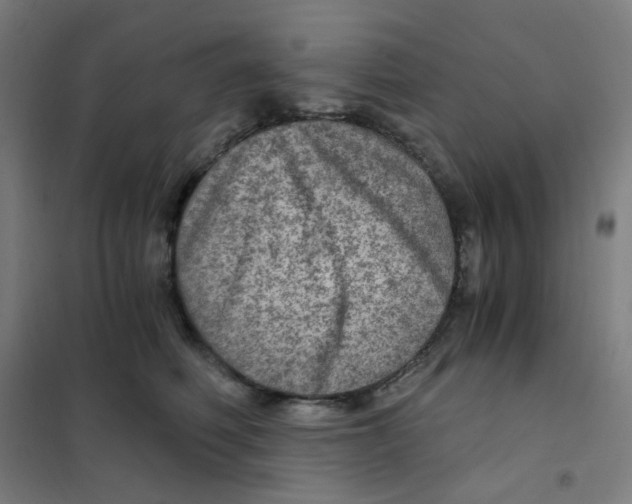 X0000101440614200808041216