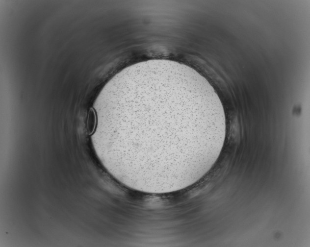 X0000101440616200808041216