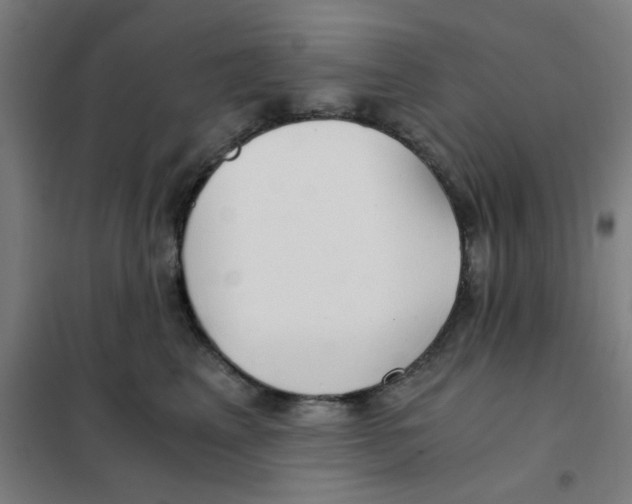 X0000101440617200808041216