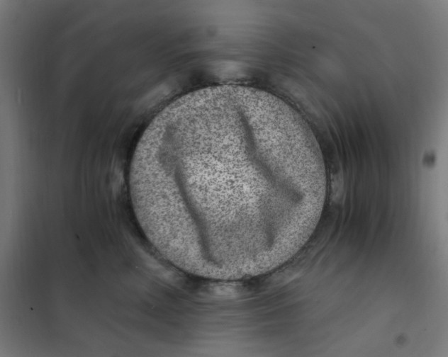 X0000101440618200808041216